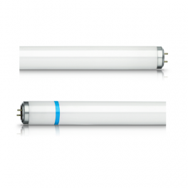 Actinic BL TL-DK Secura 36W/10 Actinic BL TL-DK Secura 36W/10